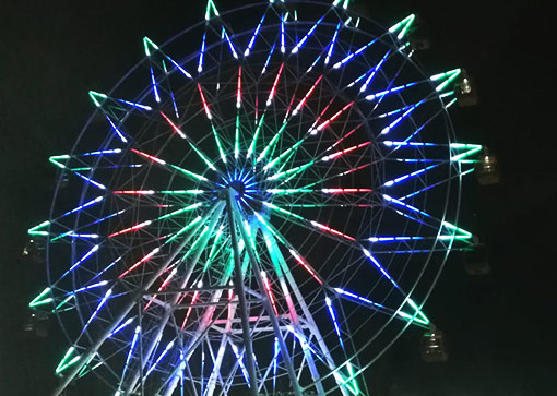 30 meter ferris wheel for sale