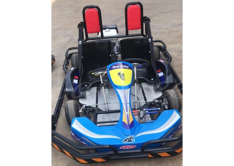 Adults Gas Powered Go Karts 2 Seater