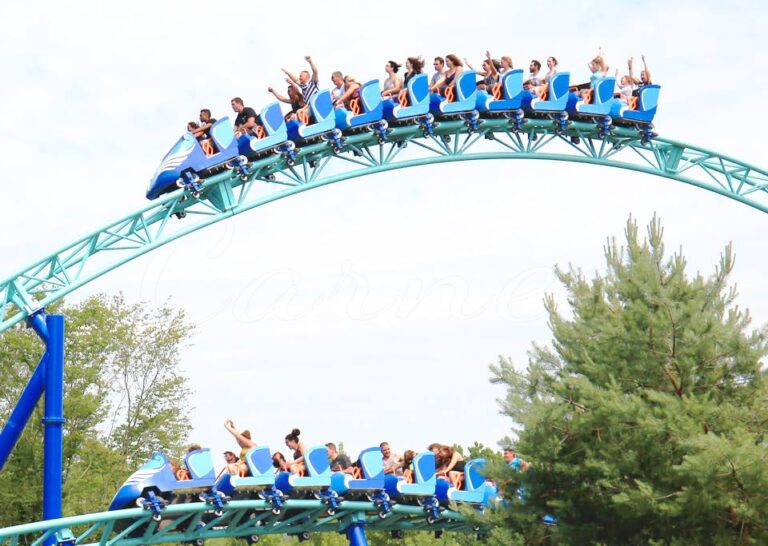 Family Roller Coaster Ride For Sale