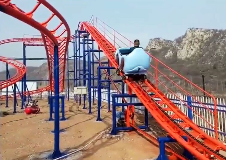 Roller Coaster Wild Mouse For Sale