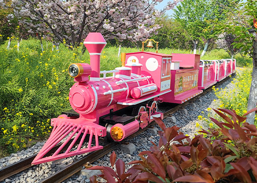 Mini Net Celebrity Outdoor Rideable Train