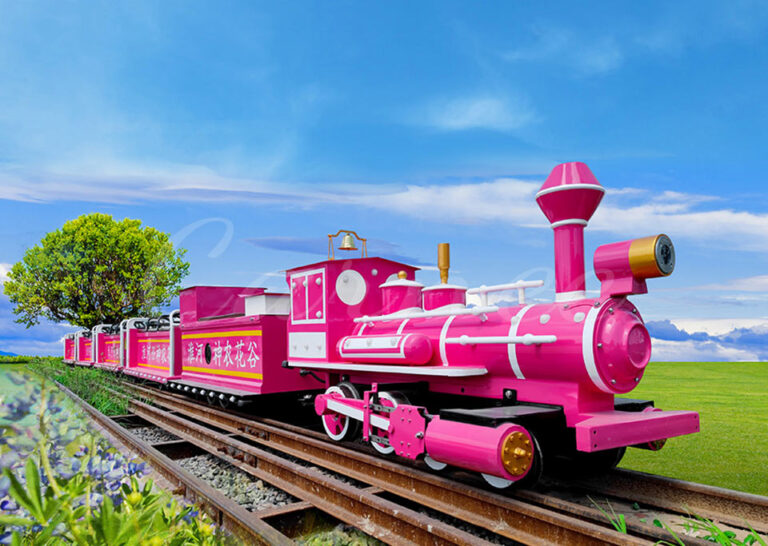 Outdoor Ride On Train With Track