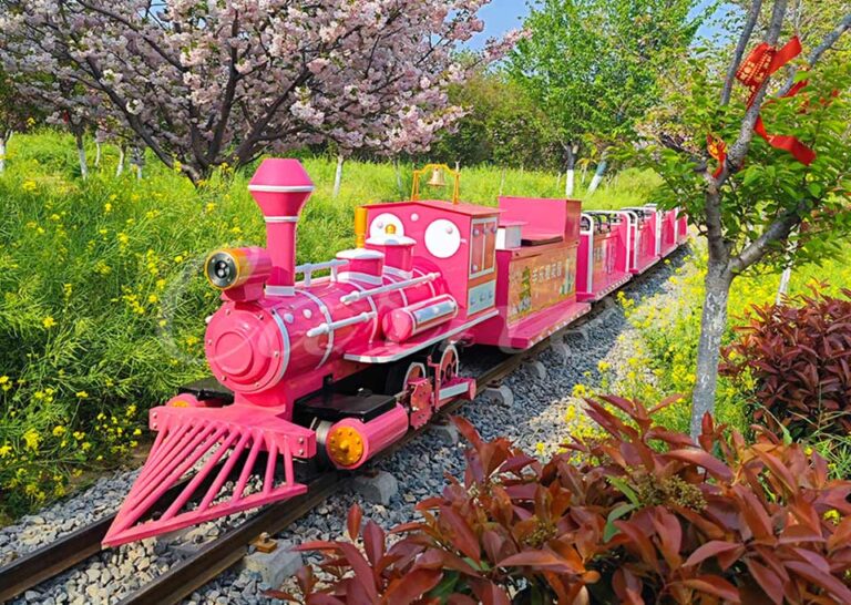 Outdoor Rideable Train