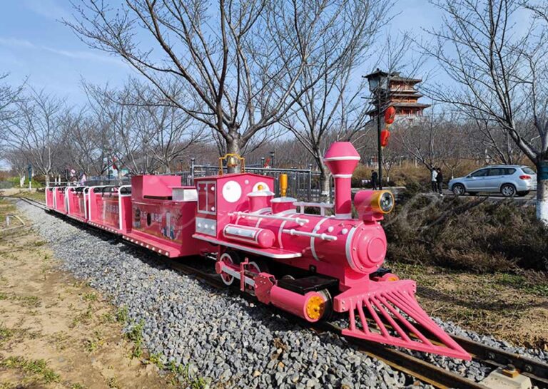 Outdoor Rideable Train For Sale