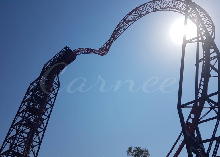 Outdoor Magic Ring Roller Coaster Ride