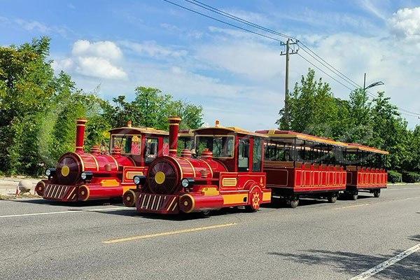 Amuaement Park Train Rides