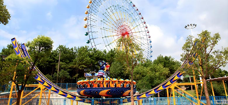 Buy Amusement Park Rides