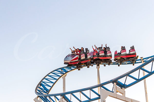 Carnee Roller Coaster For Sale