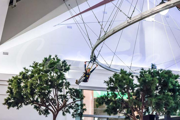 Zipline Roller Coasters