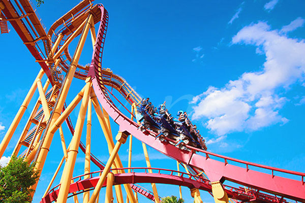 roller coaster facts