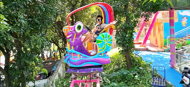 Small Amusement Park Rides Guide