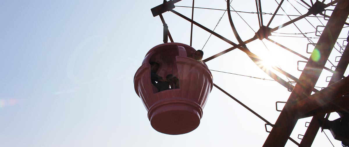 custom ferris wheel cabins