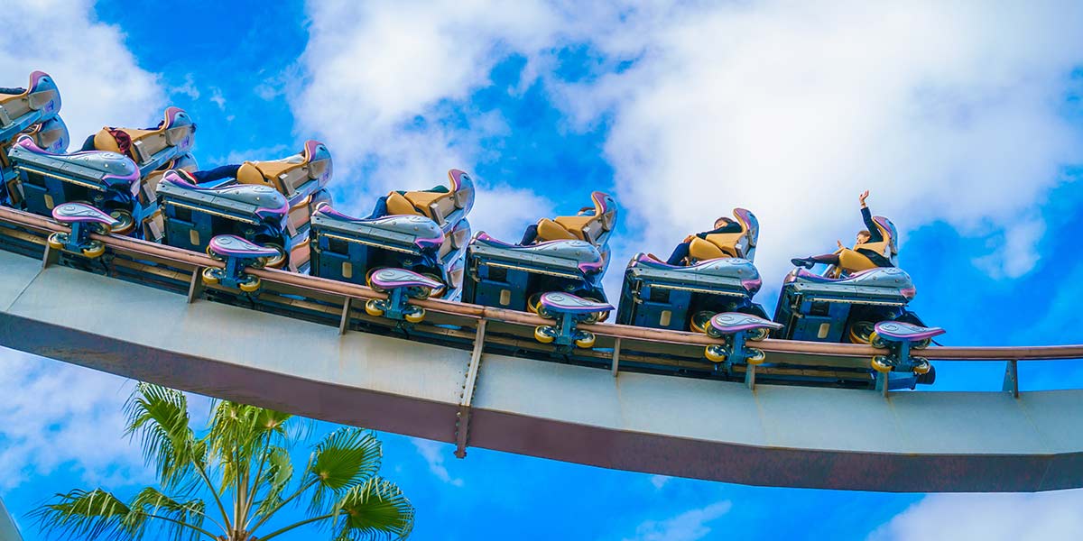 roller coaster components