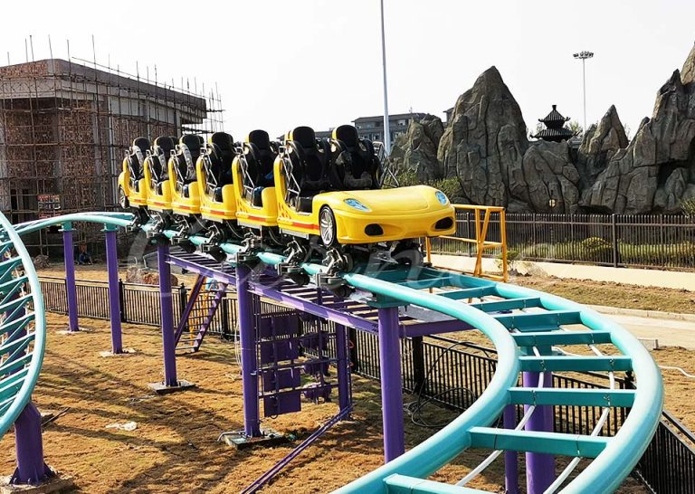 Crazy Racing Roller Coaster