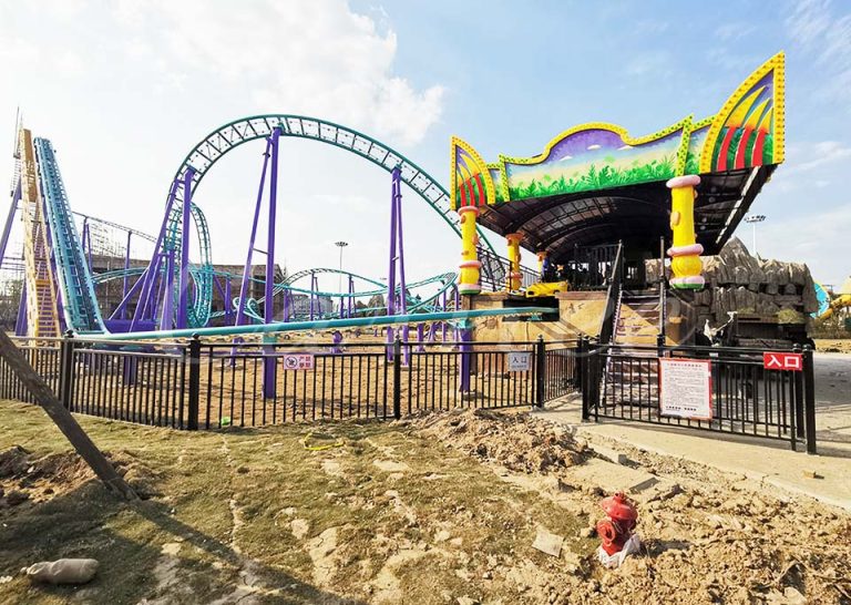 Crazy Racing Roller Coaster Case