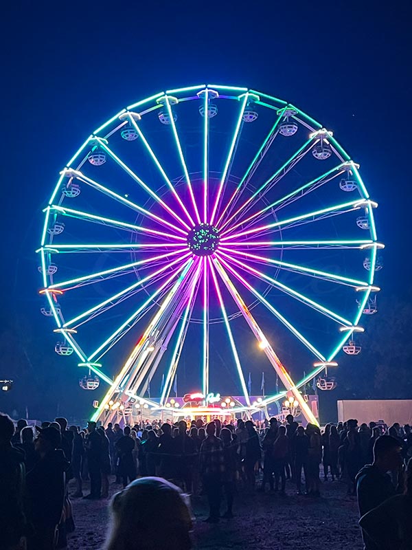 A Ferris wheel illuminated with colorful LED lights during the night, with a crowd gathered below.
