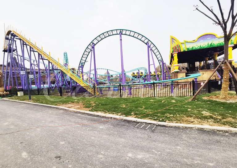 Racing Style Backyard Roller Coaster