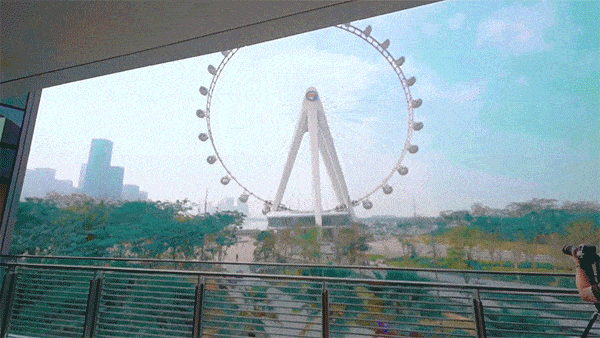 what is ferris wheel