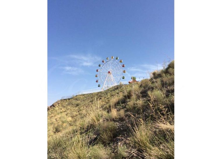 20m ferris wheel cost