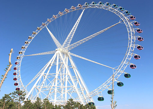 89m ferris wheel for sale