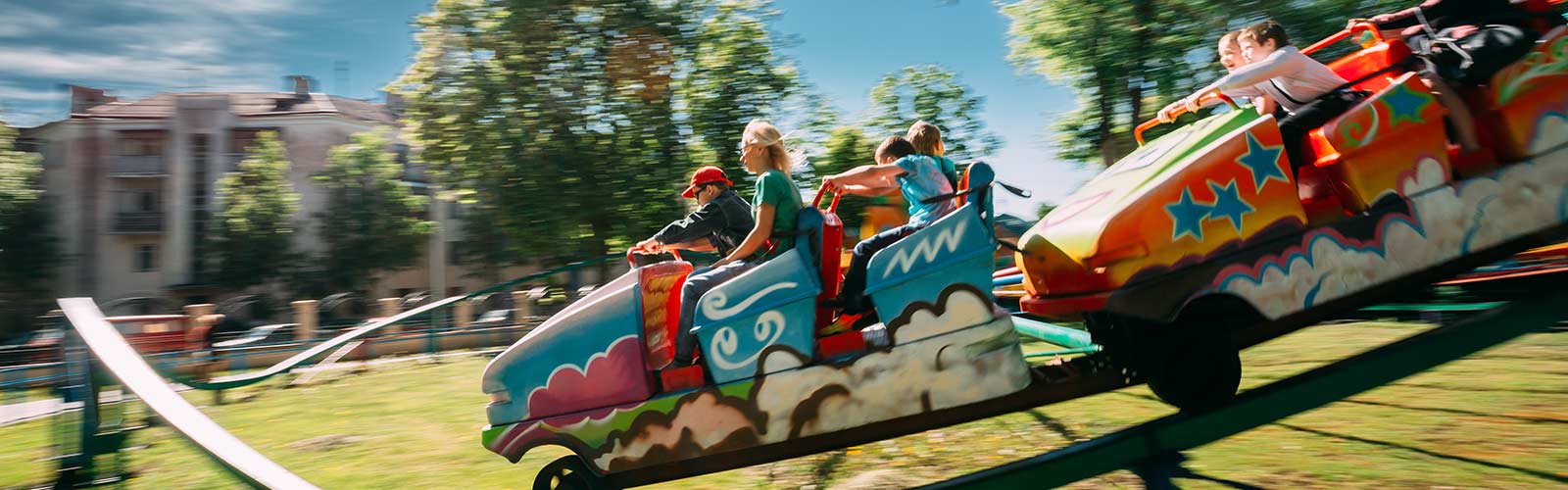 backyard roller coaster for sale