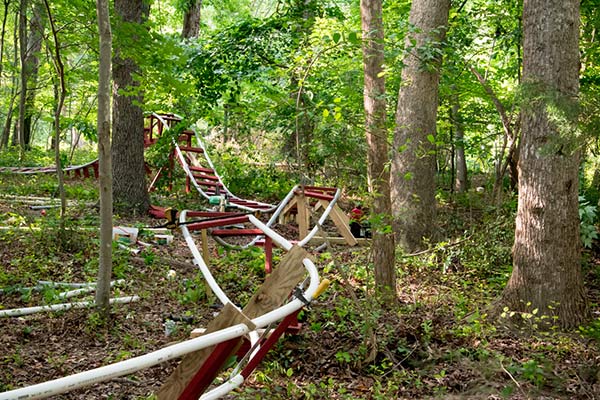 Jungle Adventure Backyard Roller Coaster