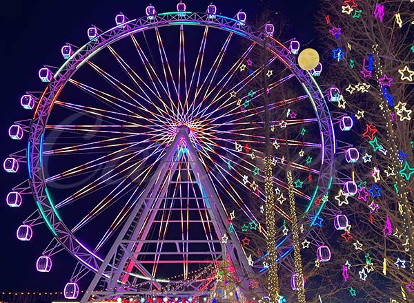 Medium Size Ferris Wheel Cost